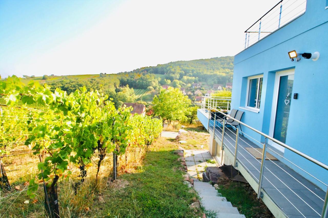 Janea Big Blue House Apartman Reichsfeld Kültér fotó