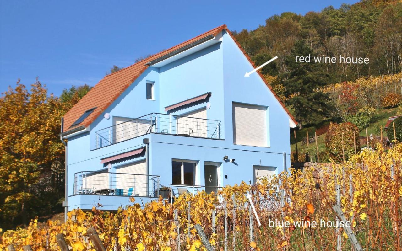 Janea Big Blue House Apartman Reichsfeld Kültér fotó