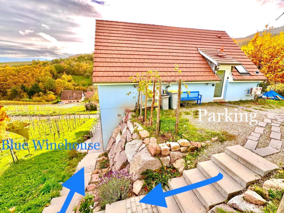 Janea Big Blue House Apartman Reichsfeld Kültér fotó