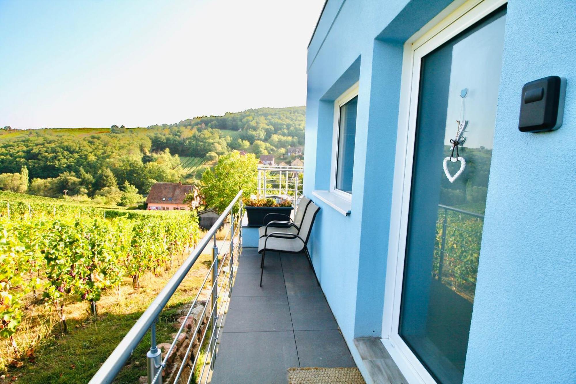 Janea Big Blue House Apartman Reichsfeld Kültér fotó