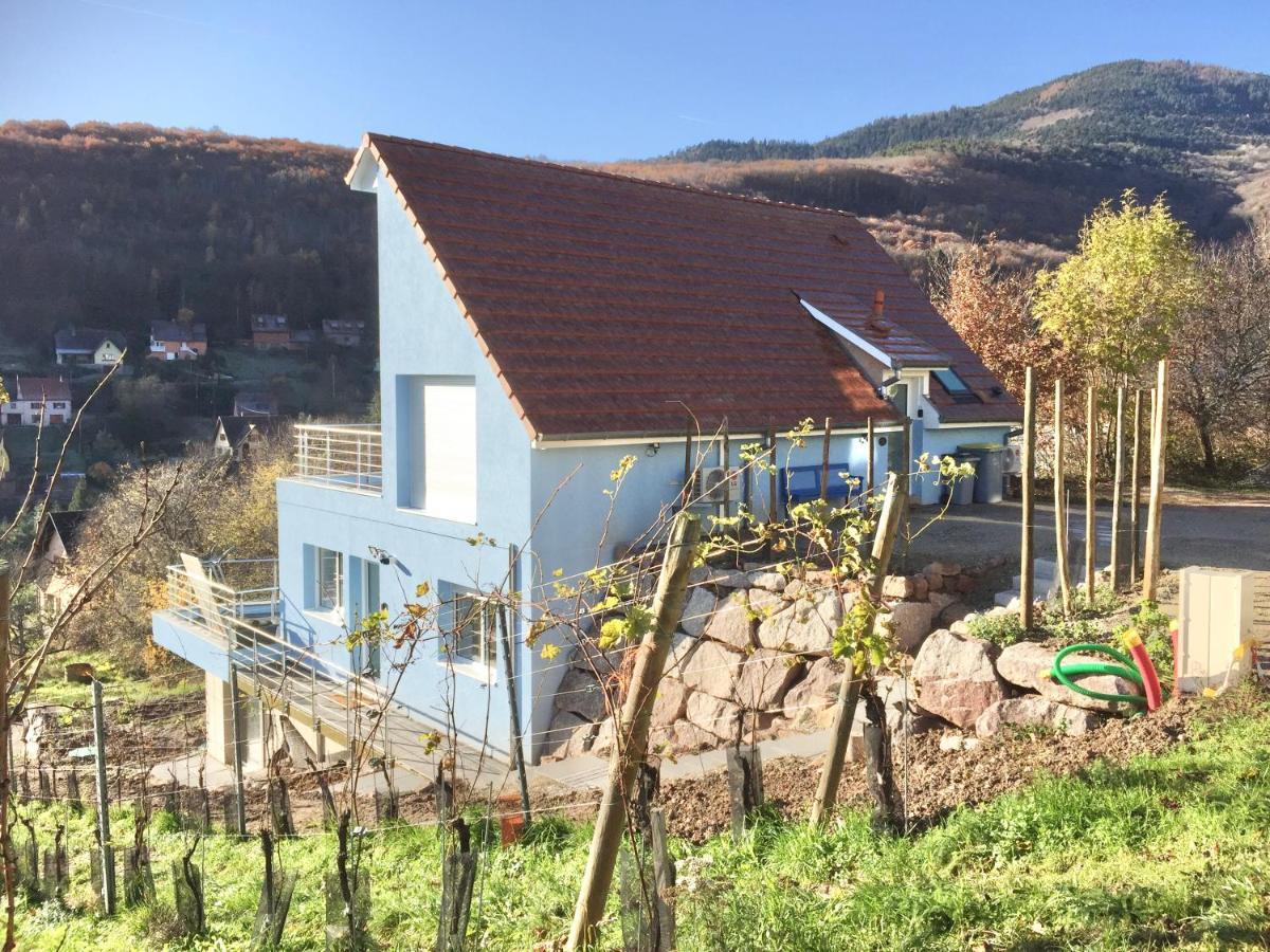 Janea Big Blue House Apartman Reichsfeld Kültér fotó